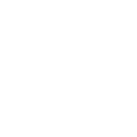 VOPIN Logo + Wordmark white square