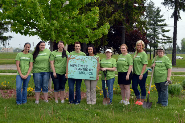 Tree planting volunteers